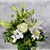 Image-square_50
