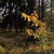 Image-square_50