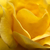 Image-square_50