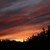 Image-square_50