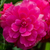 Image-square_50