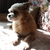 Image-square_50