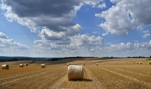 Image-preview_300x200