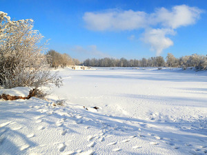 Image-preview_300x200