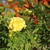 Image-square_50