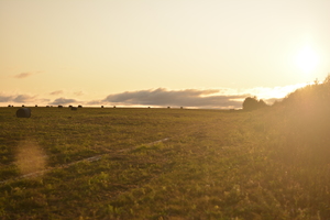 Image-preview_300x200