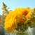 Image-square_50