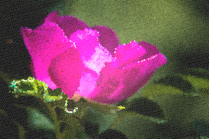 Image-normal