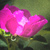 Image-square_50