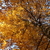 Image-square_50