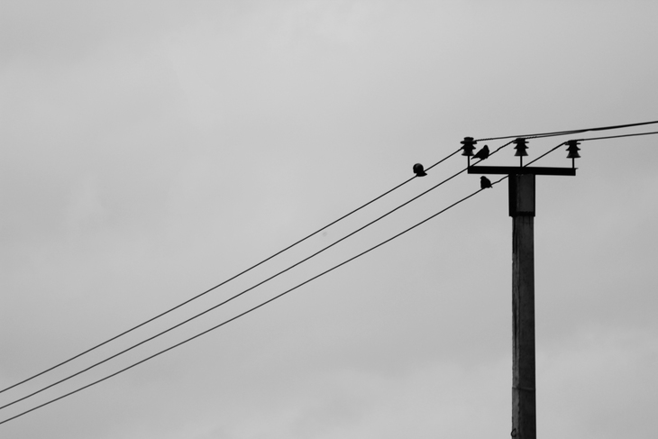 Image-normal