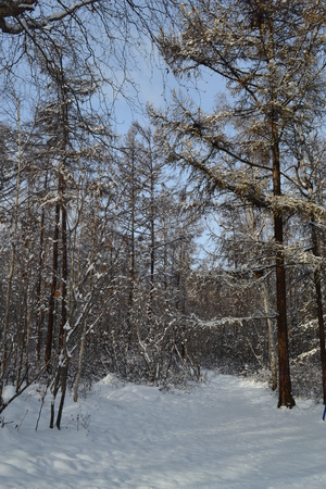 Image-preview_300x200