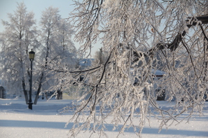 Image-preview_300x200