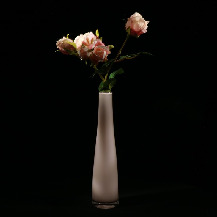Image-normal