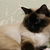 Image-square_50
