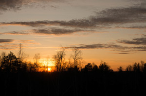 Image-preview_300x200