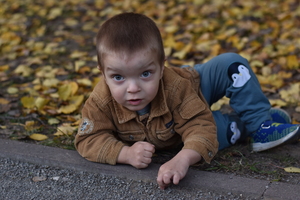 Image-preview_300x200