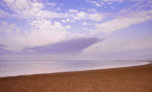 Image-preview_300x200