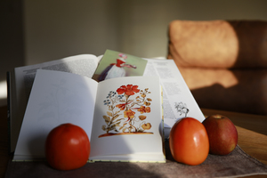 Image-preview_300x200