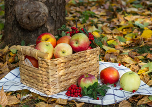 Image-preview_300x200