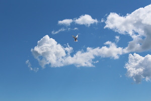 Image-preview_300x200