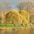 Image-square_50