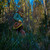 Image-square_50