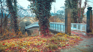 Image-preview_300x200