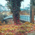 Image-square_50