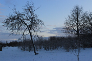 Image-preview_300x200