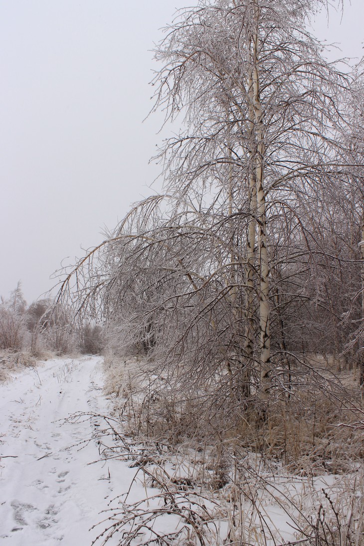 Image-normal