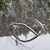Image-square_50