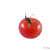 Image-square_50