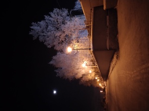 Image-preview_300x200