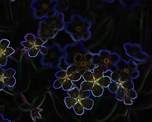 Image-preview_300x200