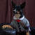 Image-square_50