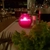 Image-square_50