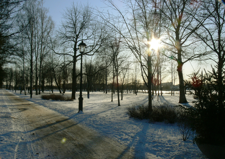 Image-normal