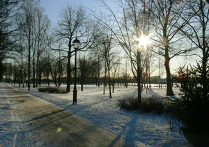 Image-preview_300x200