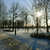Image-square_50