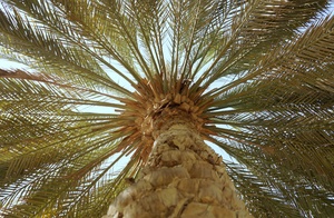 Image-preview_300x200