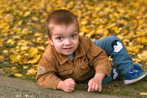 Image-preview_300x200