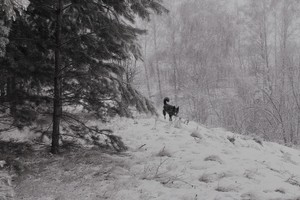 Image-preview_300x200
