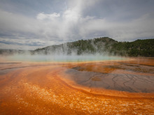 Image-rectangle_220_165