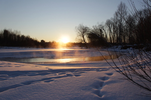 Image-preview_300x200