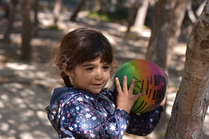 Image-preview_300x200