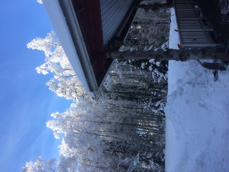 Image-normal