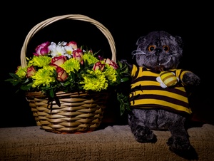 Image-preview_300x200