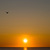 Image-square_50