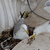 Image-square_50